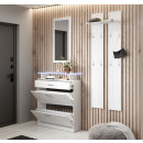 set-aus-3-dielenmobeln