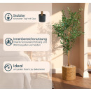 dekorative-kunstpflanze-olivenbaum-145