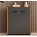 kleiner-schrank-farbe-walnus-ambar-grau-71-cm-lander-l2