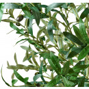 planta-artificial-decorativa-olivo-100